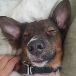 Meet your Posher, Rio